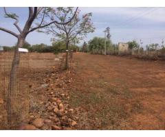 DTCP APPROVED PLOTS FOR SALE AT GRACE HILL - Image 2