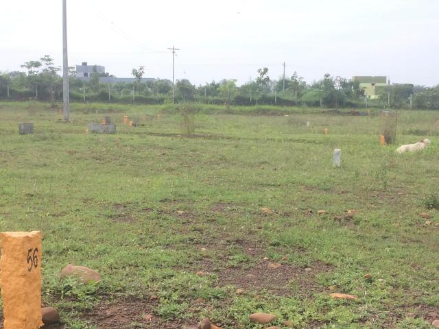 DTCP APPROVED PLOTS FOR SALE AT GRACE HILL - 3