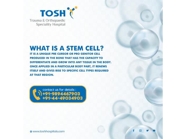 BEST STEM CELL THERAPY HOSPITAL AND FETCH IN CHENNAI - TOSH HOSPITAL